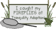 Fireflies Certificate