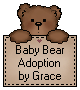 Baby Bear Certificate