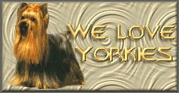We Love Yorkies Webring - Click To Join 